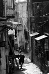 검색 이미지 | Behance의 사진, 비디오, 로고, 일러스트레이션 및 브랜딩