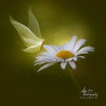 背景 :: Behance 背景