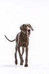 2104 SHOT OF THE DAY - Part One :: Behance 2104 SHOT OF THE DAY -  Part One - Barbara OBrien