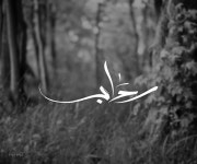 L4trc52 5 on Behance