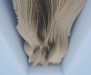 검색 이미지 | Behance의 사진, 비디오, 로고, 일러스트레이션 및 브랜딩