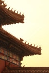 검색 이미지 | Behance의 사진, 비디오, 로고, 일러스트레이션 및 브랜딩