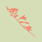 Sage-green foliage pattern :: Behance Sage-green foliage pattern - Anna Kotova