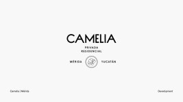 Logofolio | 2020 (10) | Images :: Behance Logofolio | 2020 - Puro Diseño