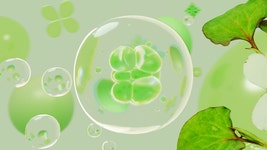 어성초 흔적 패드 Abib :: Behance 어성초 흔적 패드 Abib - SEO YEON JAE