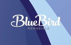 BlueBird Flyer :: Behance BlueBird Flyer