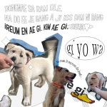 Behance에서의 My dog♡ My dog♡