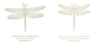 GILUŽIS :: Behance GILUŽIS