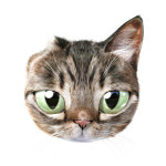 Klaus on Behance