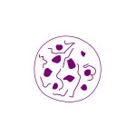 DEW on Behance DEW