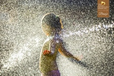 Summer Fun on Behance Summer Fun