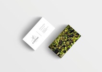 COPPINI extra virgin olive oil. on Behance