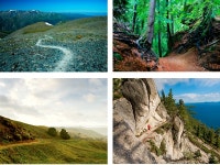 Campaign for a Trail Running Shoe on Behance Campaign for a Trail Running Shoe