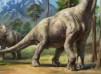 Brachiosaurus :: Behance Brachiosaurus - Eldar Zakirov