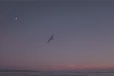 Beach Story. on Behance