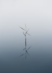 Details in Water - Finland on Behance Details in Water - Finland