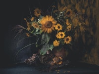 Searching for the yellow-gold beauty :: Behance Searching for the yellow-gold beauty - Katarzyna Mrożewska