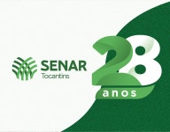 Tocantins Campanha Projects :: Photos, videos, logos, illustrations and branding :: Behance