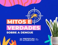 Dengue Projects :: Photos, videos, logos, illustrations and branding :: Behance