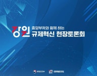 강원 규제혁신 현장토론회 :: Behance 강원 규제혁신 현장토론회 - 띠 자인