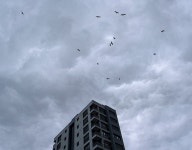 Urban Living on Behance Urban Living