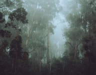 9 days on Madeira on Behance 9 days on Madeira