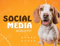 Social Media | World Pet :: Behance Social Media | World Pet - Gabriel Marreiros