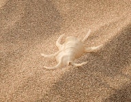 Sand Test on Behance Sand Test