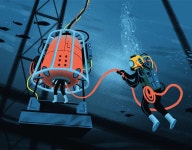 Scuba Diver 프로젝트 :: 사진, 비디오, 로고, 일러스트레이션 및 브랜딩 :: Behance