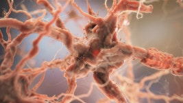 Neurons projects | Behance의 사진, 비디오, 로고, 일러스트레이션 및 브랜딩