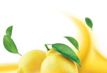 Behance의 lemon :: Behance lemon