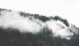 Sleeep & Sustainability. How inactivity can change the world. | by we Sleeep | Sleeep Talking | Medium Sleeep & Sustainability