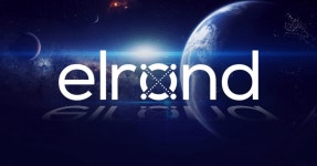 Introduction to Elrond. Elrond Network was founded in 2017, and… | by Gabriele | Coinmonks | May, 2022 | Medium Introduction to... 