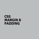 CSS - Margin & Padding. Assalamualaikum, guys! Come back to my… | by Imroatush Sholihah | Medium CSS - Margin & Padding