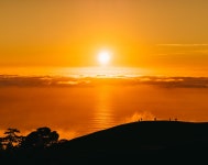 Golden Sun. Of Concrete & Glass collection | by Caitlin McColl | Inkslinger Magazine | Medium Golden Sun