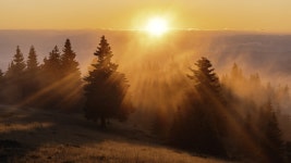 Positive Rays. Spiritual Tree: Your weekly digest —… | by K A Simran | Spiritual Tree | Medium Positive Rays