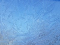 beavers. we’ve melted the permafrost and tried… | by Leisha Nicole Stanek | Medium beavers