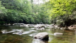 A Guide to Building Your First Data Science Project | by Harika Panuganty | Analytics Vidhya | May, 2021 | Medium A Guide to... 