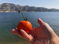 Consumption vs. Creation. I find myself in a heavy slumber, not… | by Luke Hokama | Medium Consumption vs. Creation