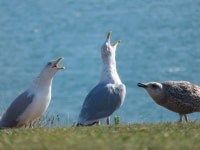 3 Positive Ways to Complain to Yourself | by Mathias Barra | SkillUp Ed | Oct, 2020 | Medium 3 Positive Ways to Complain to Yourself