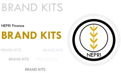 NEPRI Finance Brand Kit | by Fabrice Alomo | NEPRI Finance | Medium NEPRI Finance Brand Kit
