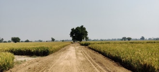 Reflections #0003. Punjab Yatra | by Ankit Chhabra | Ankit Chhabra | Medium Reflections #0003