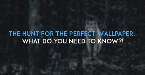 The Hunt For The Perfect Wallpaper: What you need to know! | by Metodix | Metodix | Medium The Hunt For The Perfect Wallpaper... 