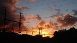 Not another food blog. I’m aware that each of my previous… | by El Jonno | Jonno down under | Medium Not another food blog