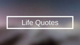 97 Best Really Powerful Life Quotes Living a Beautiful Life