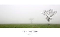 신비의 섬 제주 - Jeju & Photography - Medium 신비의 섬 제주