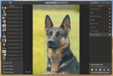 Creating an Object Detection App with MakeML and Skafos.ai | by Caroline Twigg | Medium MakeML and Skafos.ai