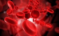 Inhale. Oh how you flood hemoglobin blood | by Thea Louise | Medium Inhale