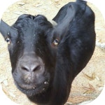 Stories Hyeonu Park clapped for – Medium