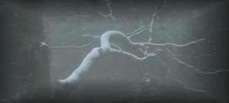 Soul-fog. Here, this nest of my being, home… | by Lainey S. Cronk | Medium Soul-fog